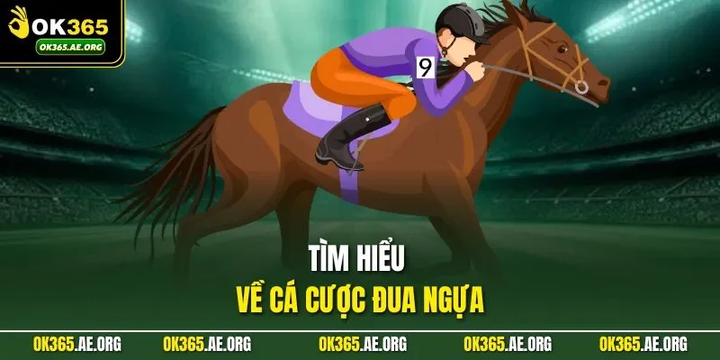 Tìm hiểu về cá cược đua ngựa