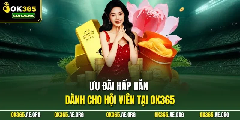 Trang chủ 50 Ưu đãi hấp dẫn dành cho hội viên tại Ok365