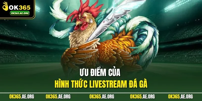 Ưu điểm của hình thức livestream đá gà