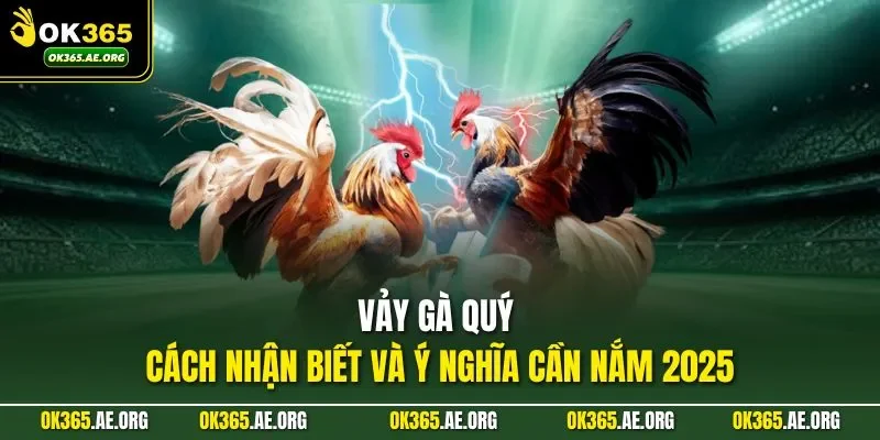 Vảy gà quý theo Ok365 không chỉ là yếu tố