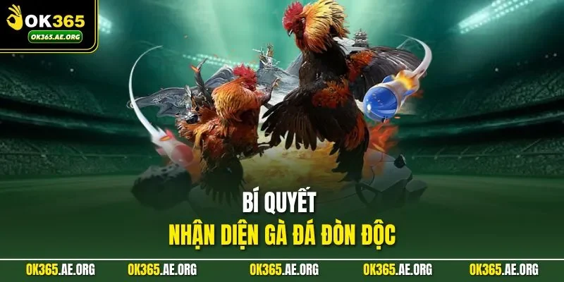 Bí quyết nhận diện gà đá đòn độc